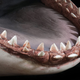 Illustration for article titled You Can Customize the Level of Gore Detail On This iJaws/i Shark Bust